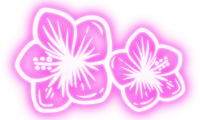 kwiatki-aloha